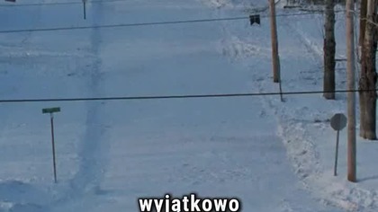 DZIEŃ ŚWISTAKA  O zakończeniu zdecydowało głosowanie? #dzienswistaka #groundhogday #billmurray