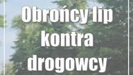 Obrońcy lip przy drodze wojewódzkiej 838 TrawnikiFajsławice kontra drogowcy