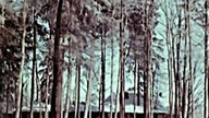 BBC. Historia. III. Rzeszy. 2011. DVDRip. x264. Lektor.pl. RBS. cz. 4. xbus