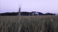 Czy dobrze musi oznaczać drogo? Z konieczności w pszenżycie/John Deere & Agrio Napa/Kula