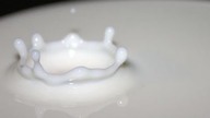 DIY Experiment - milk, food coloring and dish soap - fun for kids