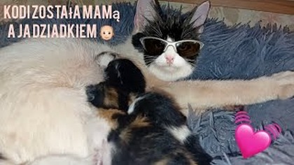 Kodi została mamą a ja zostałem dziadkiem 