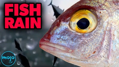 10 Creepy Science Mysteries That No One Can Explain