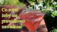 Nawadniaj siebie i bliskich.  Prosty i smaczny sposób na przetrwanie upałów.