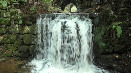 Relaxing Waterfall Sounds for Sleep & Study | Forest River White Noise