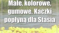 Małe, kolorowe, gumowe.  Kaczki popłyną dla Stasia