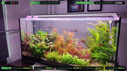 Made with Restream. Livestream on 30+ platforms at once via https://restream.io

Sprzątamy, przesadzamy i gadamy  :)

-------------------------------------------------------------------------------------------------------------------------------------------------
Zacznij wspierać ten kanał, a dostaniesz te bonusy:
https://www.youtube.com/channel/UCaMYr1C1Y0cHNbDgik_wIMA/join

Zapraszam na FB: https://www.facebook.com/bekonakwa
Discord: https://discord.gg/BkbHsheY2A

-----------------------------------------------------------------------------------------------------------------------------------------------------
!!!DONATE!!!  Podoba Ci się i chcesz mnie wesprzeć: https://tipply.pl/u/konradxxx3   !!!DONATE!!! 
------------------------------------------------------------------------------------------------------------------------------------------------------
https://bekonstudio.pl/