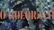 MIKROMUSIC  O kolorach  (Official Audio)