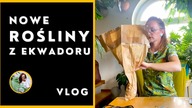 Zamówiłam rośliny z Ekwadoru ! Czy warto kupować rośliny prosto z tropików ?