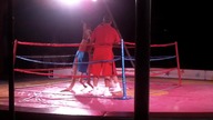 Kobieta vs Kangur - czegoś tak dziwnego jeszcze nie widziałem