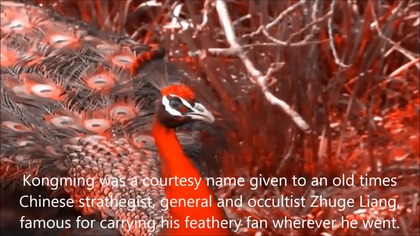 Werebeast Lore - Taoist Kongming Fan Meditation