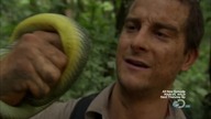 Man. vs. Wild. s06e04. Borneo. Jungle. 720p