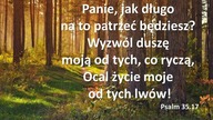 Audycja Wyzwolony - Robert Allport