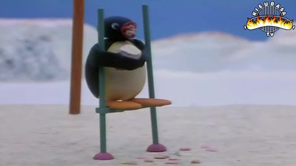 Pingu 7 - Pizduś gra w śledź-tenisa [Przeróbka Dubbing 18+] (Kieubasa TV reupload)
