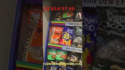 SENSAS - GIT PROMKA - PO 15 PLN