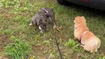 a5383ec6-a935-4c7e-a807-0d06d4aaeabb