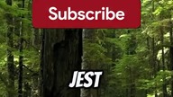 Ile LASÓW Jest w Kanadzie?
