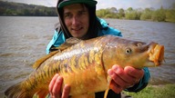 Wiosenne karpie na METHOD FEEDER