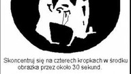 Iluzje jakich świat nie widział