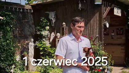 W Garden kuRaż * CLEMATISY, KANARKI I NIEDZIELNY SPACER * 01.  06.  2025