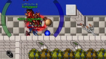 DRUGI REBORN WBITY!  WeAreDragons Season 3 | Tibia OTS #shorts