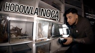 NOCNE KARMIENIE  Co jest aktywne po zmroku??