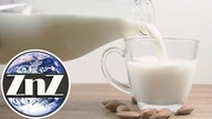 Mleko mogą wytwarzać mikroorganizmy! Krowy przestaną być potrzebne?
