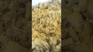 Filety z kurczaka zapiekane z pieczarkami i majonezem #smakowitedania #kanałkulinarny #shortvideo