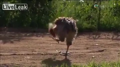 Hamburger na spos&oacute;b afrykański