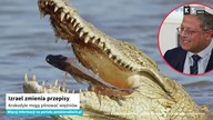 Izrael zmienia przepisy.  Krokodyle mogą pilnować więźniów [KS Info]