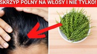 5 Niesamowitych korzyści Skrzypu polnego  Koniecznie dodaj go do swojej apteczki!