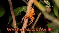 Trafiłem na WYSPĘ ZWIERZĄT  Wietnam #6/6