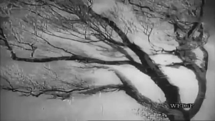 Powódź (1947) dokument