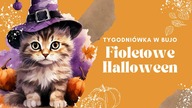 Radosne Halloween | Czwarta tygodniówka października w bullet journal | Weekly [autopromocja]