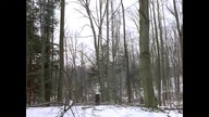 Due South....S02E09