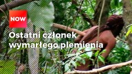 CZŁOWIEK Z DZIURY - kim jest i dlaczego żyje sam od 50 lat?