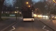 Tak sie bawia żydzi w Londynie