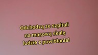 02. 09. 2023r 30% zgon&oacute;w czyli co 3 osoba do worka