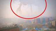 10 gigantycznych stworzeń złapanych na kamerze!