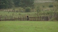 U Pana Boga w ogr&oacute;dku S01E08