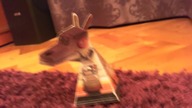 Virtual Robots Dog Befuddled by Optical Illusions