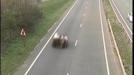 Edd China bije kolejne rekordy Guinnessa