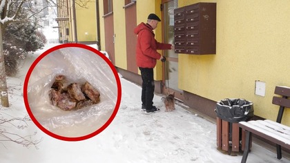 Kolejny truciciel zwierząt? Mieszkańcy Osiedla Gigant coraz częściej znajdują zatrute jedzenie