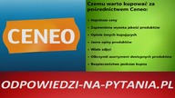 Dobry i Tani PowerBank - Jaki Kupić ?
