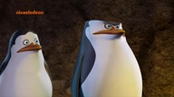 Pingwiny z Madagaskaru - SE02E27 Czerwony Wiewiór - To Kwestia Czasu