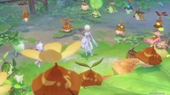 Aranara Quest