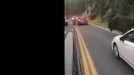 LiveLeak - Man Suspected of Taunting Bison at Yellowstone Was Arrested