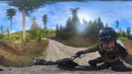 Muchomor czerwony  przy leśnej ścieżce #360video