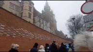 INGRES RABINA RYSIA NA WAWELU - owce w niebezpieczeństwie
