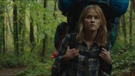 Wild. Dzika. droga. 2014. Lektor.pl